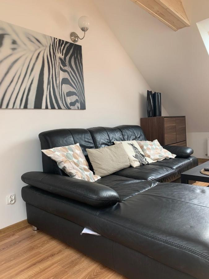 Apartment Amelie's House Rajcza